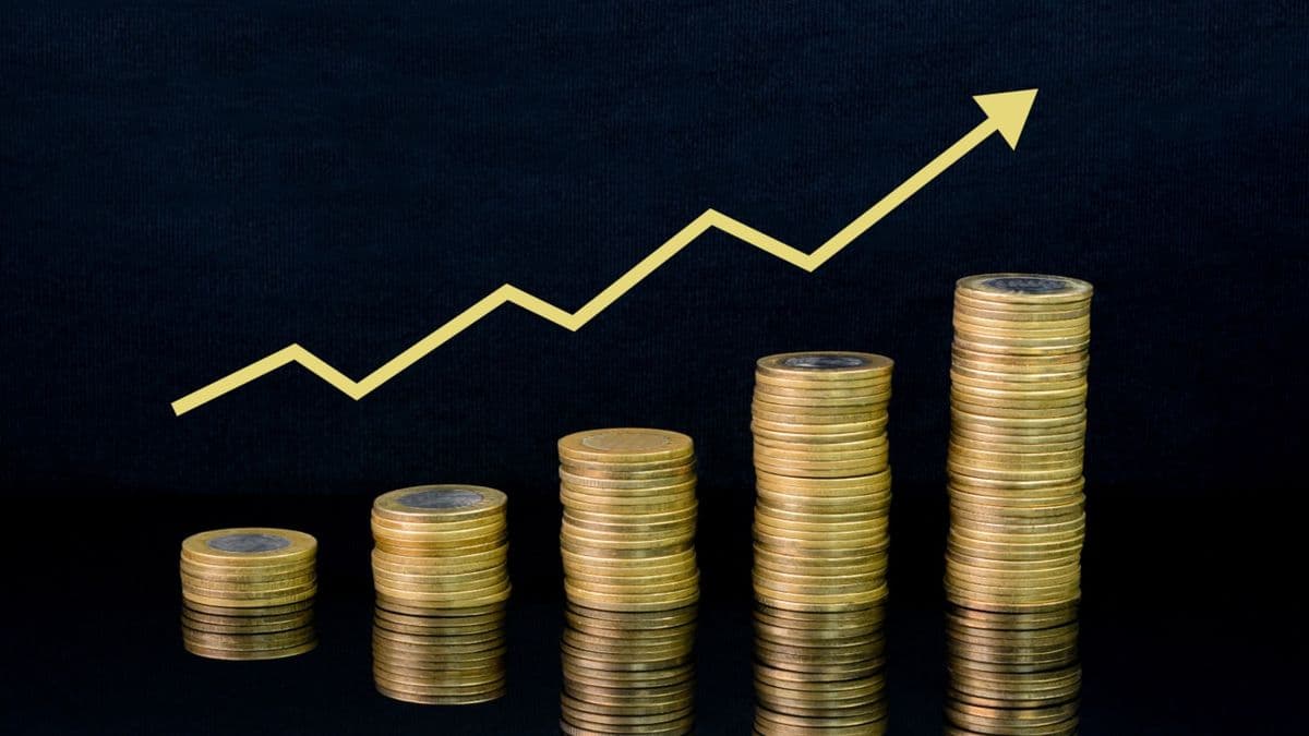 Higher Secondary (+1)